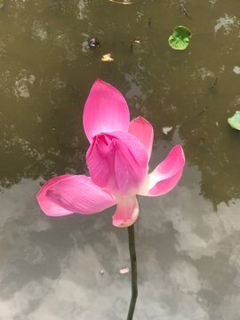彩票幸运与品牌